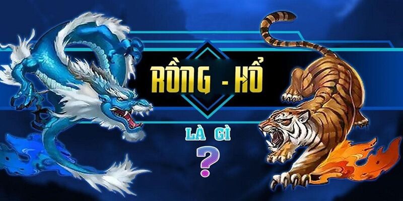 Tìm hiểu về trò giải trí Dragon Tiger tại k9cc